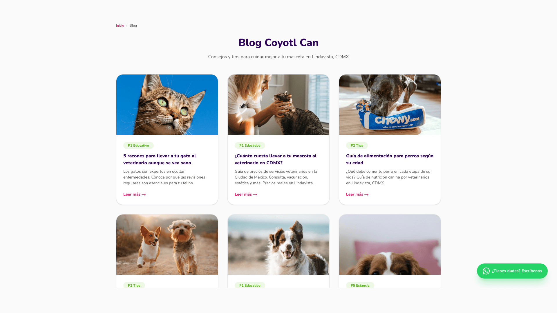 Blog — contenido de cuidado animal